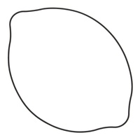Vertex Outer Clutch Gasket 817507