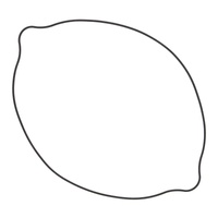 Vertex Outer Clutch Gasket 817514