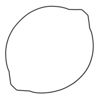 Vertex Outer Clutch Gasket 817685