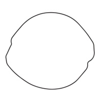 Vertex Outer Clutch Gasket 817702