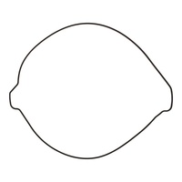 Vertex Outer Clutch Gasket for KTM 250 SX 2023-2026