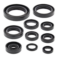 Vertex Oil Seal Gasket Kit 822107
