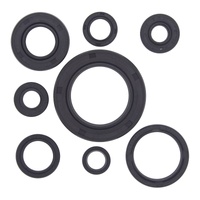 Vertex Oil Seal Gasket Kit 822111