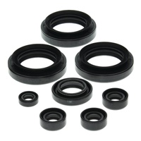 Vertex Oil Seal Gasket Kit 822152