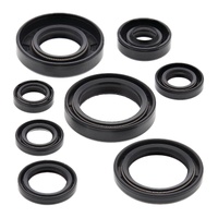 Vertex Oil Seal Gasket Kit 822173