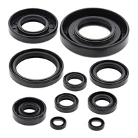 Vertex Oil Seal Gasket Kit 822174