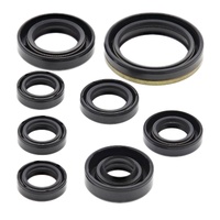 Vertex Oil Seal Gasket Kit 822175