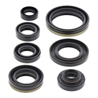 Vertex Oil Seal Gasket Kit 822176