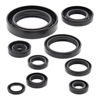 Vertex Oil Seal Gasket Kit 822177