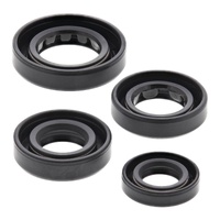 Vertex Oil Seal Gasket Kit 822179