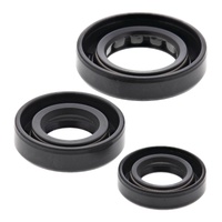 Vertex Oil Seal Gasket Kit 822180