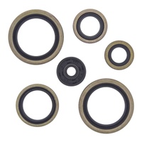Vertex Oil Seal Gasket Kit 822187