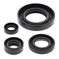 Vertex Oil Seal Gasket Kit 822195