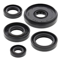Vertex Oil Seal Gasket Kit 822196