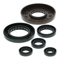 Vertex Oil Seal Gasket Kit 822209