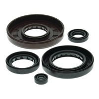 Vertex Oil Seal Gasket Kit 822210
