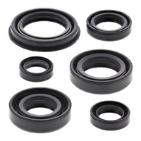Vertex Oil Seal Gasket Kit 822220