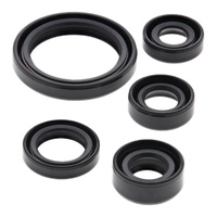 Vertex Oil Seal Gasket Kit 822226