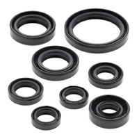 Vertex Oil Seal Gasket Kit 822228