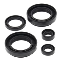 Vertex Oil Seal Gasket Kit 822234