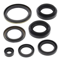 Vertex Oil Seal Gasket Kit 822239