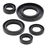 Vertex Oil Seal Gasket Kit 822240