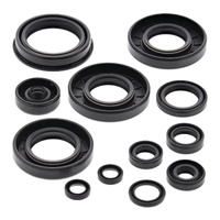 Vertex Oil Seal Gasket Kit 822252