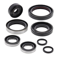 Vertex Oil Seal Gasket Kit 822264