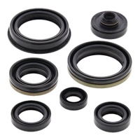 Vertex Oil Seal Gasket Kit 822266