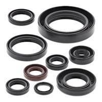 Vertex Oil Seal Gasket Kit 822268