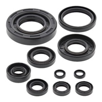 Vertex Oil Seal Gasket Kit 822304