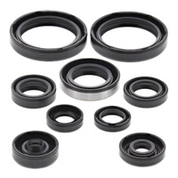 Vertex Oil Seal Gasket Kit 822316