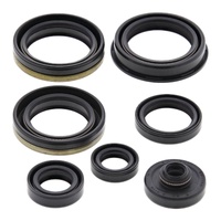 Vertex Oil Seal Gasket Kit 822317