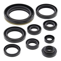 Vertex Oil Seal Gasket Kit 822324
