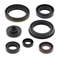 Vertex Oil Seal Gasket Kit 822329
