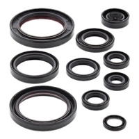 Vertex Oil Seal Gasket Kit 822330