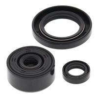 Vertex Oil Seal Gasket Kit 822339