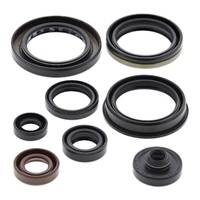 Vertex Oil Seal Gasket Kit 822346