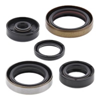 Vertex Oil Seal Gasket Kit 822347