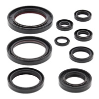 Vertex Oil Seal Gasket Kit 822352