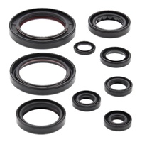 Vertex Oil Seal Gasket Kit 822357