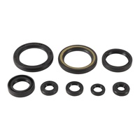 Vertex Oil Seal Gasket Kit 822378