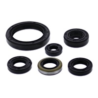 Vertex Oil Seal Gasket Kit 822379