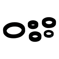Vertex Oil Seal Gasket Kit 822380