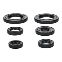 Vertex Oil Seal Gasket Kit 822391