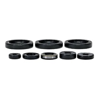 Vertex Oil Seal Gasket Kit 822403