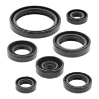 Vertex Oil Seal Gasket Kit 822692
