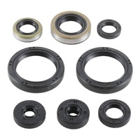 Vertex Oil Seal Gasket Kit 822977