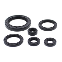 Vertex Oil Seal Gasket Kit 822978