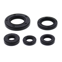 Vertex Oil Seal Gasket Kit 822990